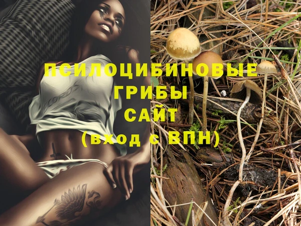 альфа пвп VHQ Гусиноозёрск