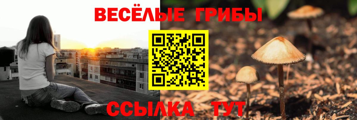 Псилоцибиновые грибы Magic Shrooms  Галлюциногенные грибы Magic Shrooms  Егорьевск  Вход с VPN 
