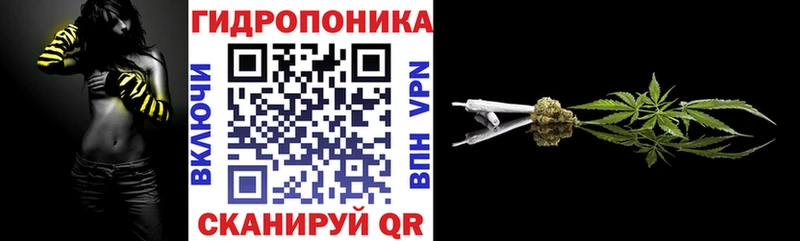 сайты даркнета клад купить наркоту Егорьевск Шишки марихуана White Widow
